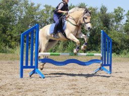 dsc05652_web